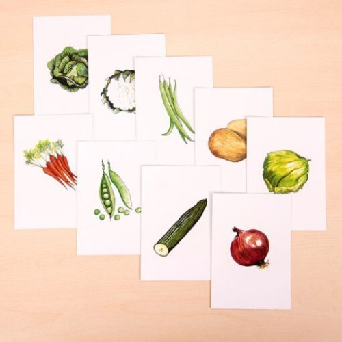 Muro fichas vegetales